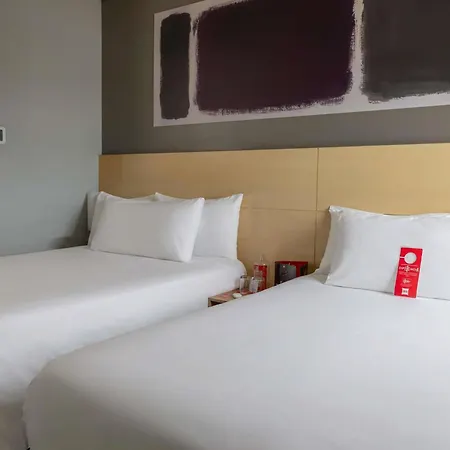 Ibis Chihuahua-3