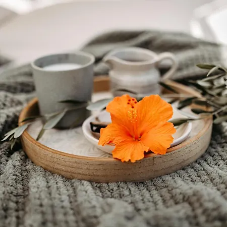 Boutique Hideaway Cortijo El Sarmiento - Adults Only-3