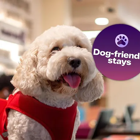 Premier Inn Dubai Al Jaddaf - An Emirates Group Company-3
