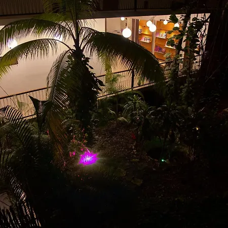 Living Bloom Concept Hotel Tulum (Adults Only)-3