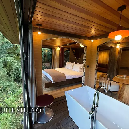 Casa Container 80 - Suítes privativas e sofisticadas integradas à natureza-3
