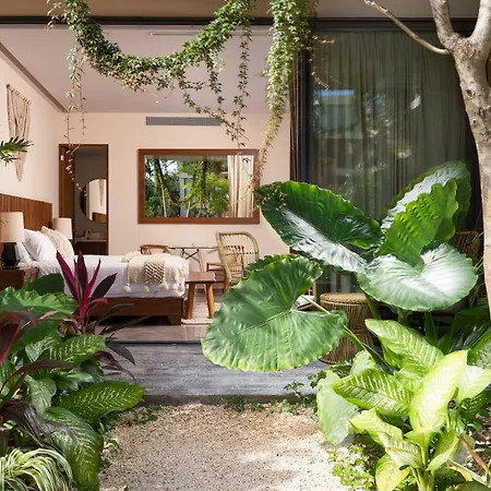 Mistiq Tulum-3