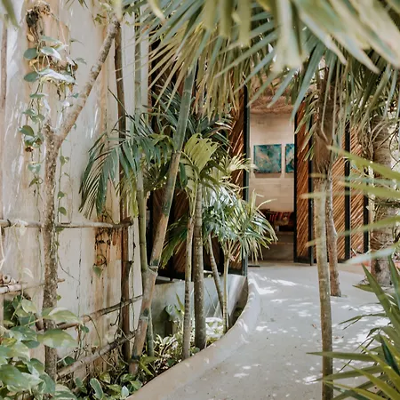 Orchid House Tulum Jungle-2