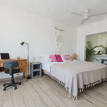 Casa Fenix-3