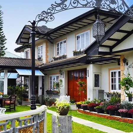 Cocoon Hills-2