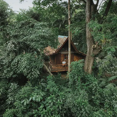 Our Jungle House - SHA Certified-2