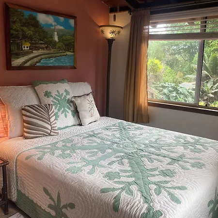 Hale Maluhia Country Inn-3