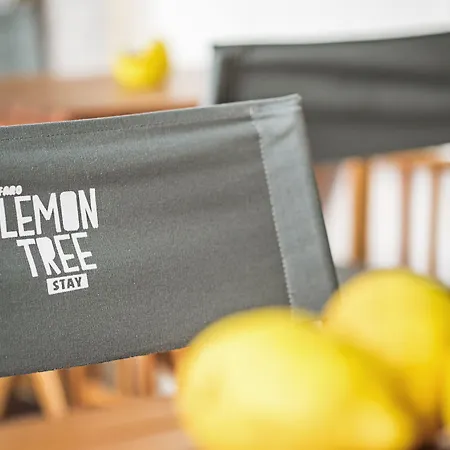 Lemon Tree Stay-3
