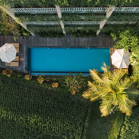 Byasa Ubud-3