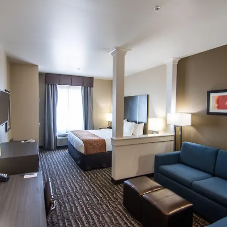 Comfort Suites Near Sam Houston Race Park-2