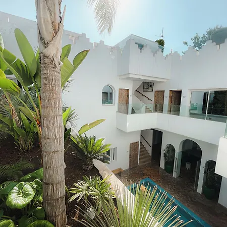 Riad Zyo-2