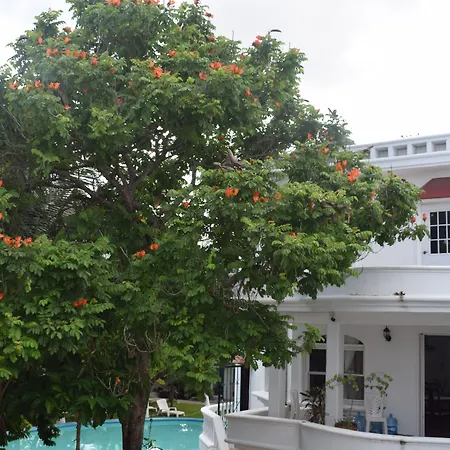 Mansion Giahn Bed&Breakfast-2