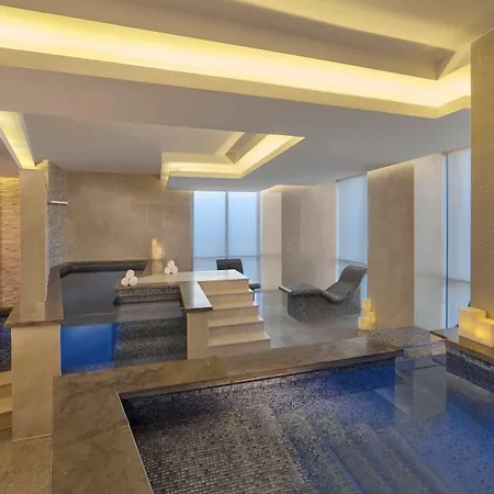 Hyatt Regency Dubai Creek Heights-2