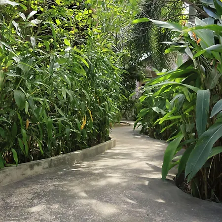 Bird Of Paradise Bungalows-2