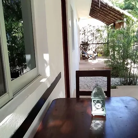 Casa De Las Tortugas I Tour Akumal-2