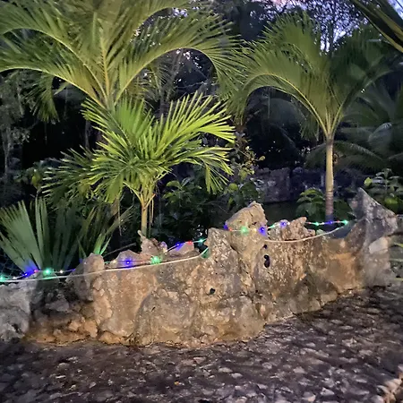Casa De Las Tortugas I Tour Akumal-3