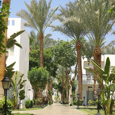 Jaz Fanara Residence-3