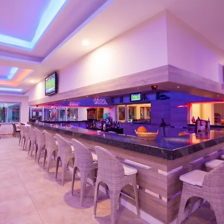 Catty Cats Garden Hotel-2