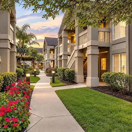 Sonesta ES Suites San Jose - Airport-3