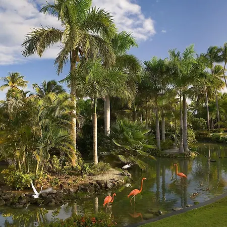 Melia Caribe Beach Resort-2