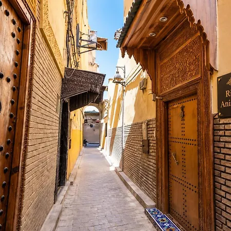 Riad Anis Fes-3