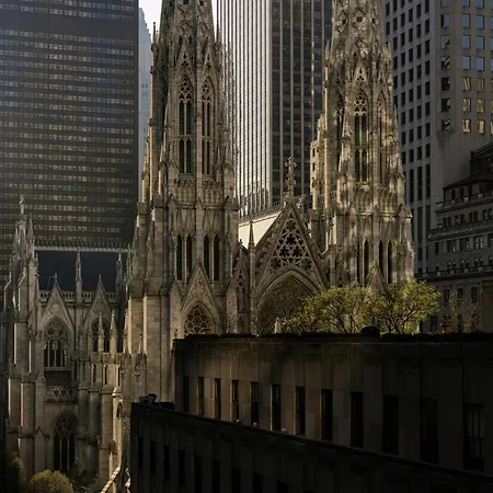 The Jewel Hotel, New York-3