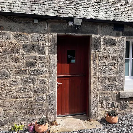 Aynetree Guest House-2