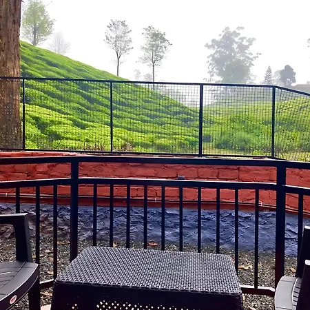 Golden Green Resort With Pool-2