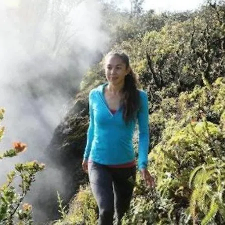 Volcano House-2