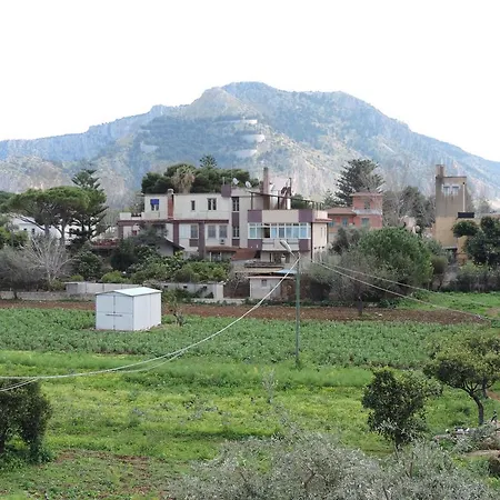 Bed And Breakfast Il Girasole-2