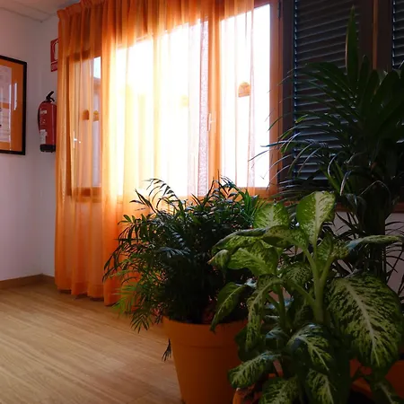 Hotel Andrea'S-3