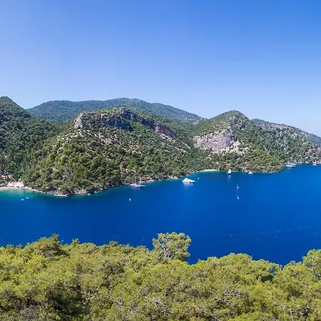 Hillside Beach Club-2