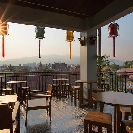 Green Tiger House-3