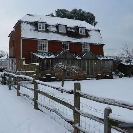 Willow Tree House-3