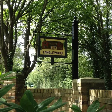 Tanglewood Gatwick Bed & Breakfast-3