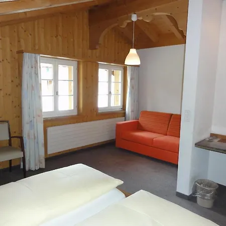 Hotel Steinbock Grindelwald-3