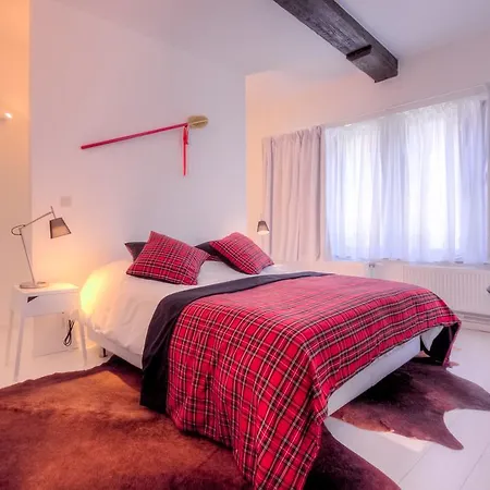 Mons Dragon House-3