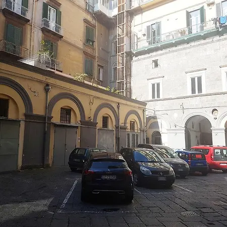 Royal Dante-2