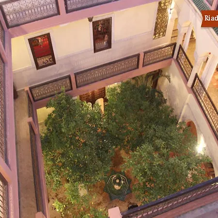 Riad Sidi Ayoub-3
