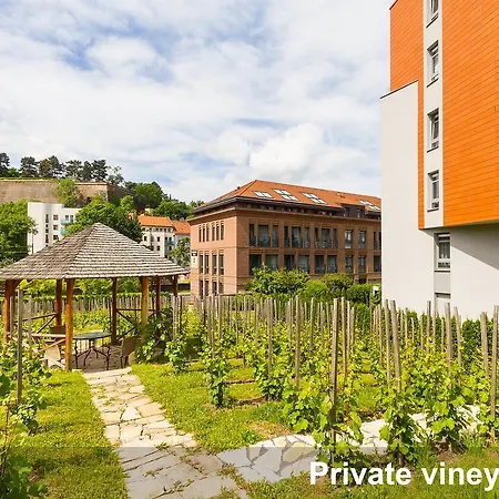 Albertov Rental Apartments-2