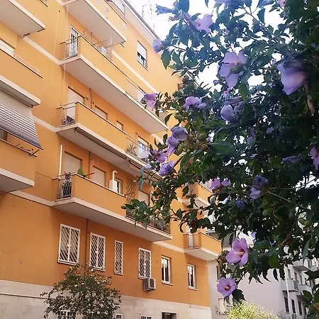 Romulea Guest House-3