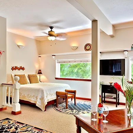 Orchid Tree B&B-3