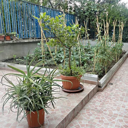 Lunablu-2