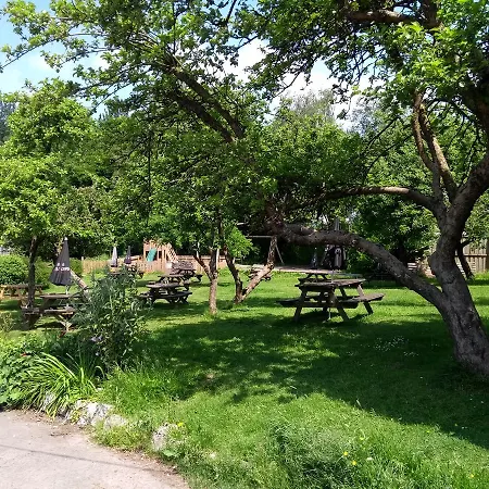 Llanerch Inn-2