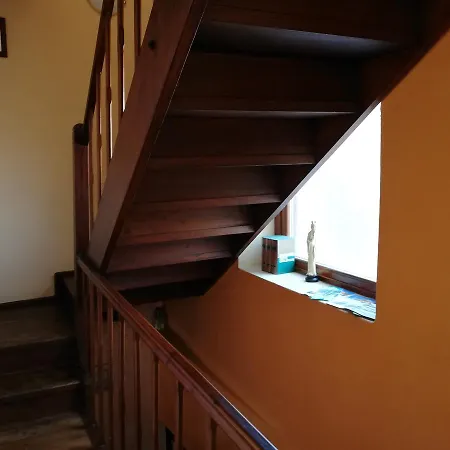 Campino-2