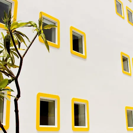 Bloomrooms @ Link Road-3