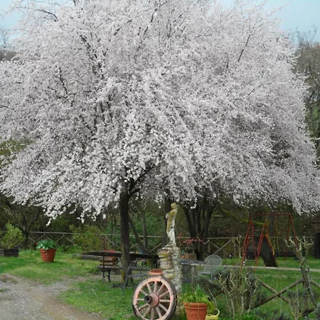 Locanda Delle Noci-3