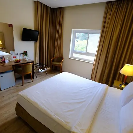 Ritz Hotel-3