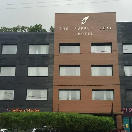 The Purple Leaf Hotels-3