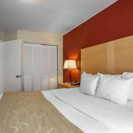 Comfort Suites Michigan Avenue-3